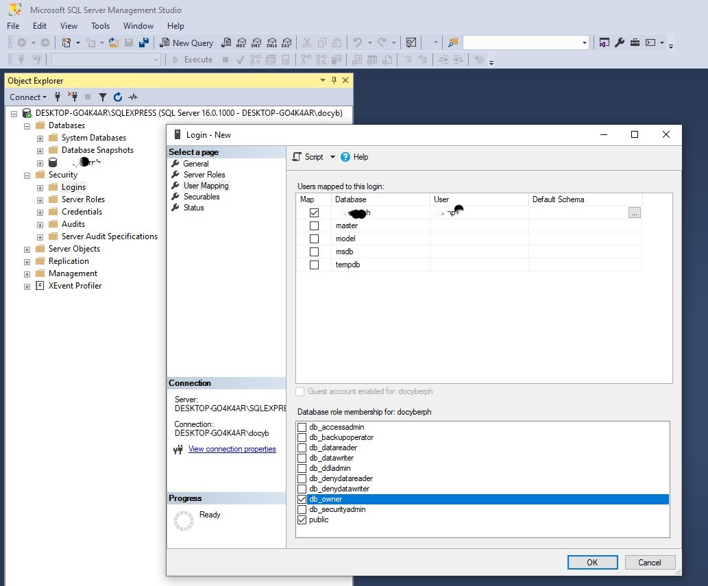 Assign permissions db owner dialog