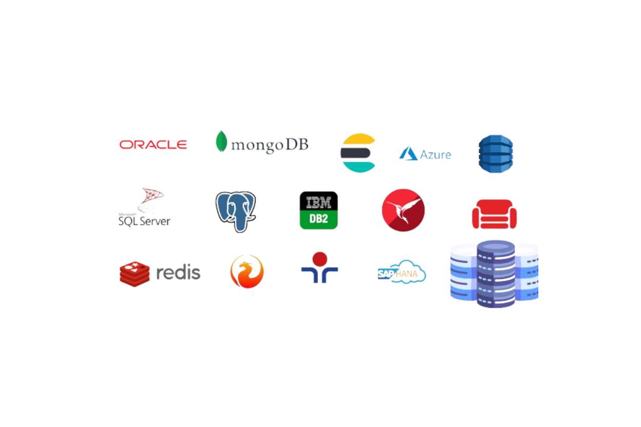 Organizing and Managing Data Efficiently